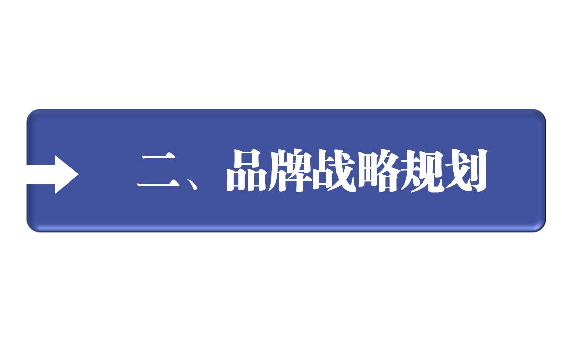企业如何制定品牌营销策划,品牌营销战略管理方案设计模板