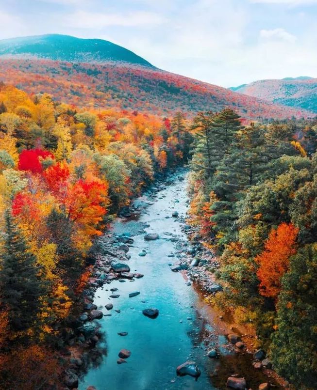 秋季落叶绝美诗句带赏析,有关秋天黄叶的诗句古诗词