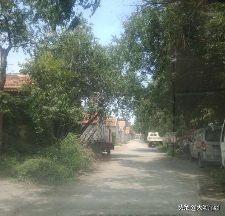 灞变笢涓滆惀骞块ザ鐩愬満,涓滆惀骞块ザ鐩愬満