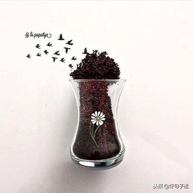 短小精悍的优美句子10-15字,精辟短小的句子