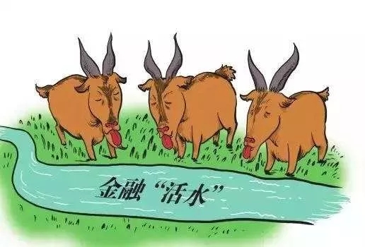 农业贷如何申请,农业贷款做什么样的