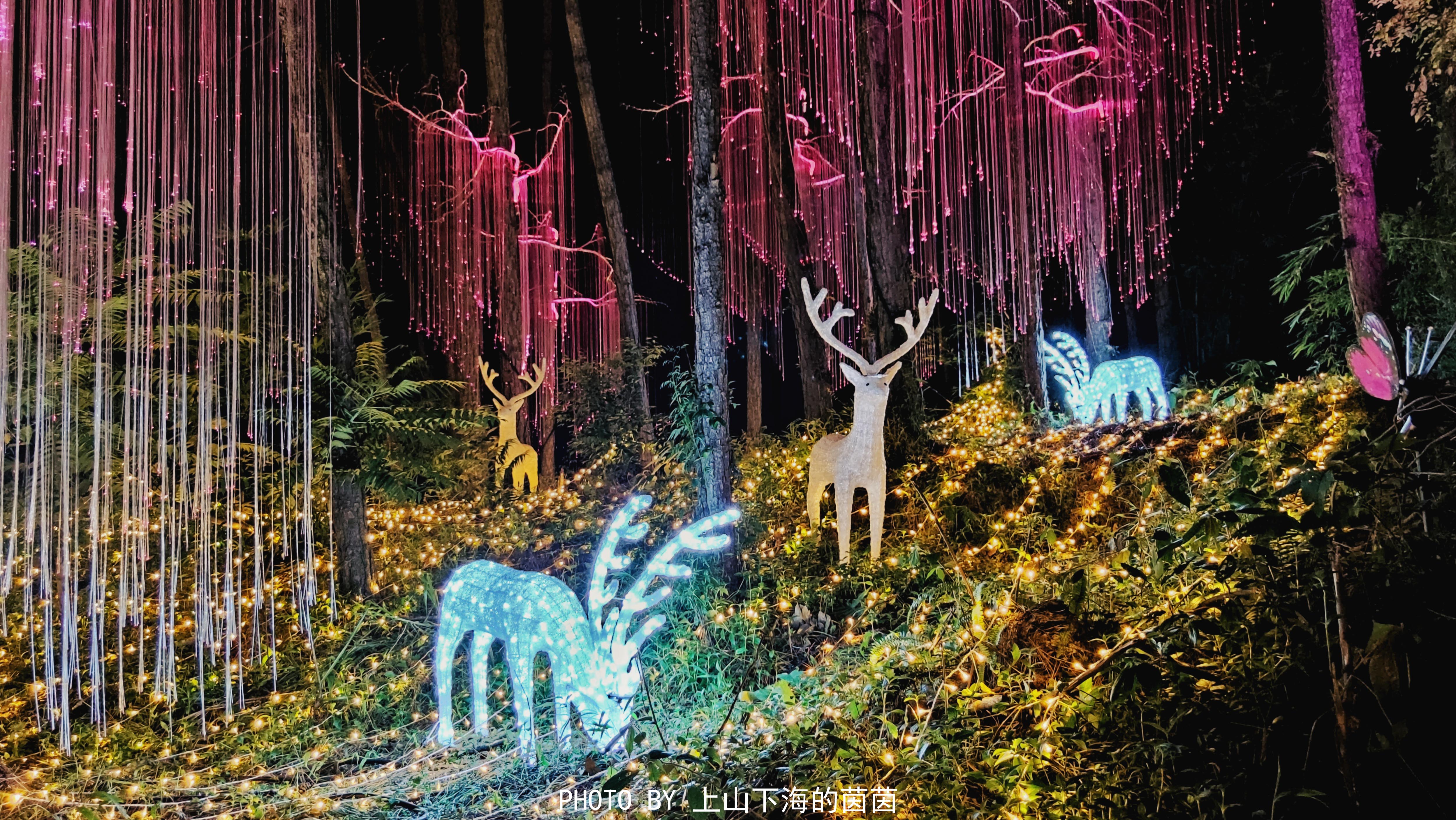 清远市佛冈森波拉度假区,佛冈森波拉度假森林免费攻略