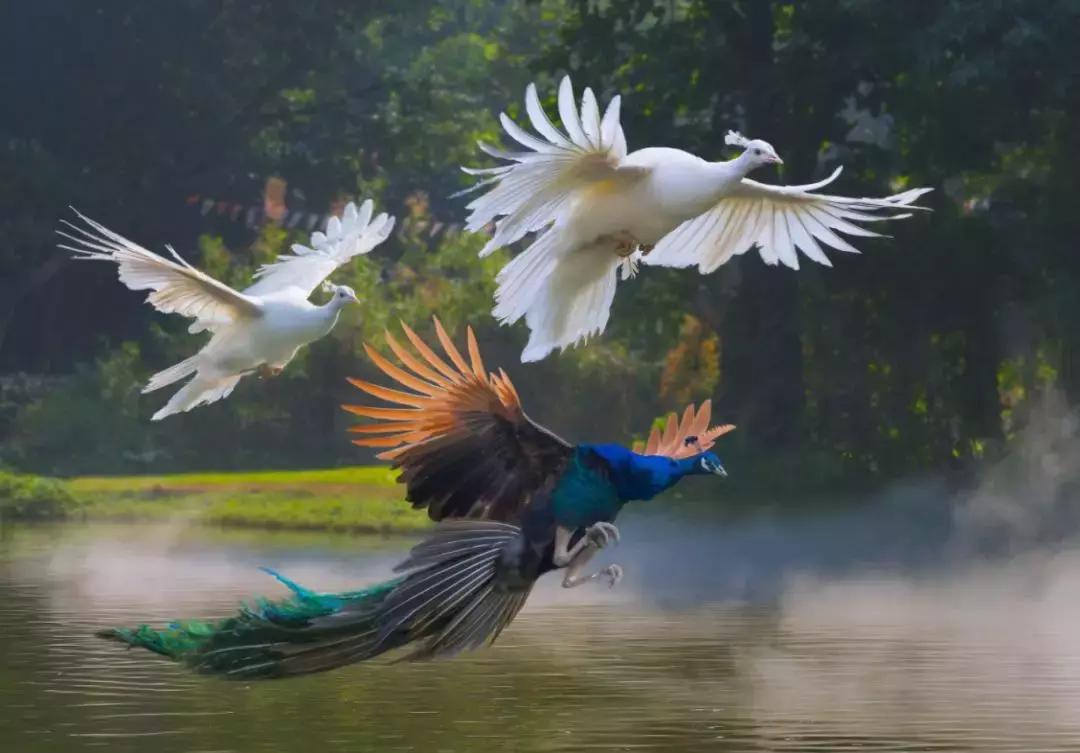 邓超给孙俪送的礼物,邓超为孩子过生日