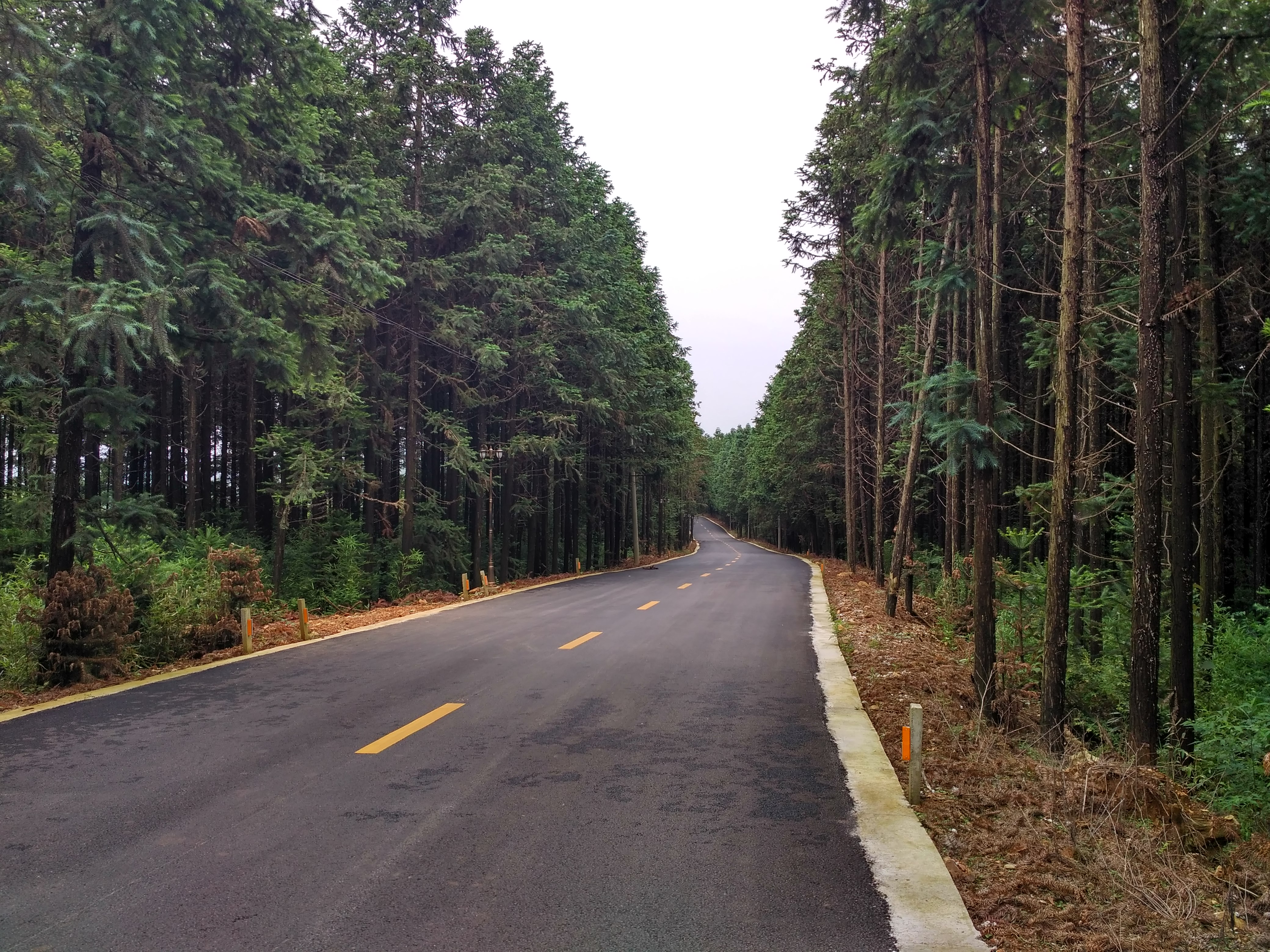 齐春生态园大概花多少钱,贵池齐春生态园