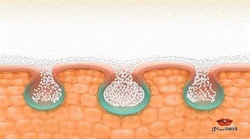 这个品牌才是真正的国货之光,便宜好用不打广告的老国货