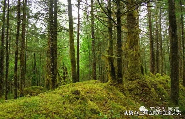 迈入中医之门第,迈入中医之门系列文章第三十七篇