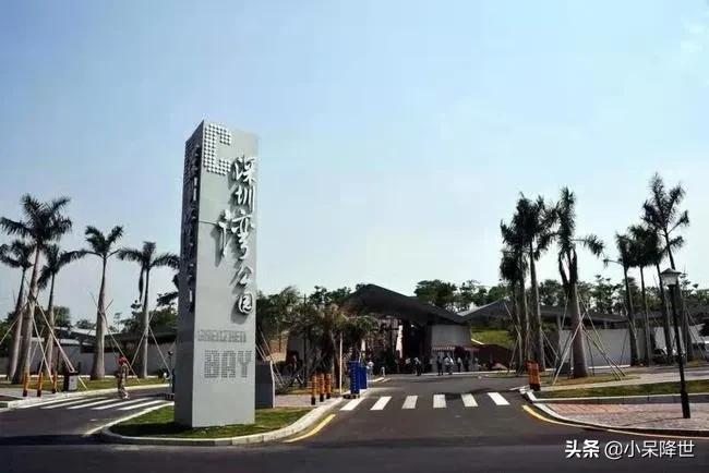 回顾一下在深圳打工的日子,来深圳打工三年了