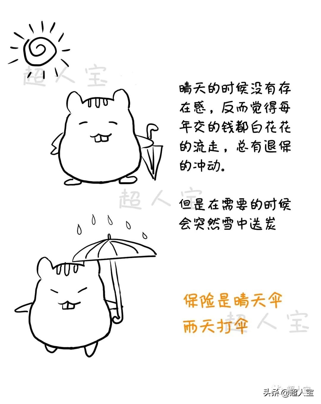 5分钟了解必备的四大险种，入门级保险解说「漫画保险」