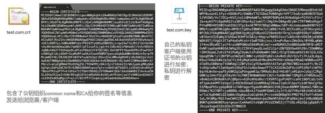 https解析教程,https详细解析