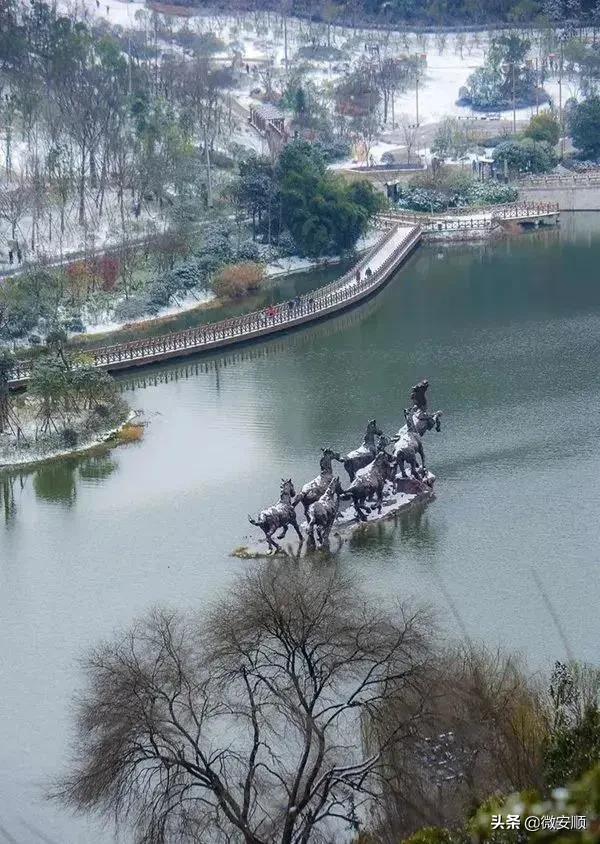 你好！我叫安顺，这是我2021最新简历