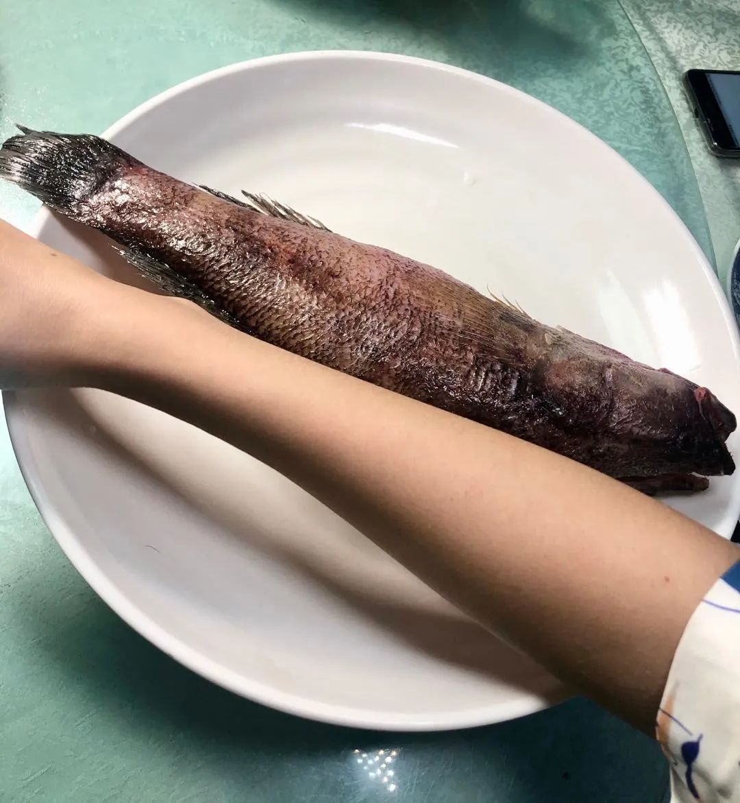 在长春想吃海鲜去哪里,长春哪家鱼馆江鱼好吃