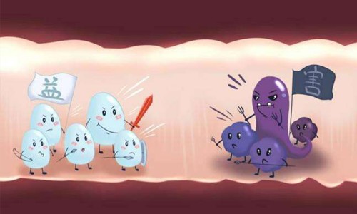 美国康萃乐益生菌新生儿,康萃乐婴幼儿益生菌粉效果怎么样