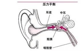 治中耳炎用眼药水,中耳炎常用药