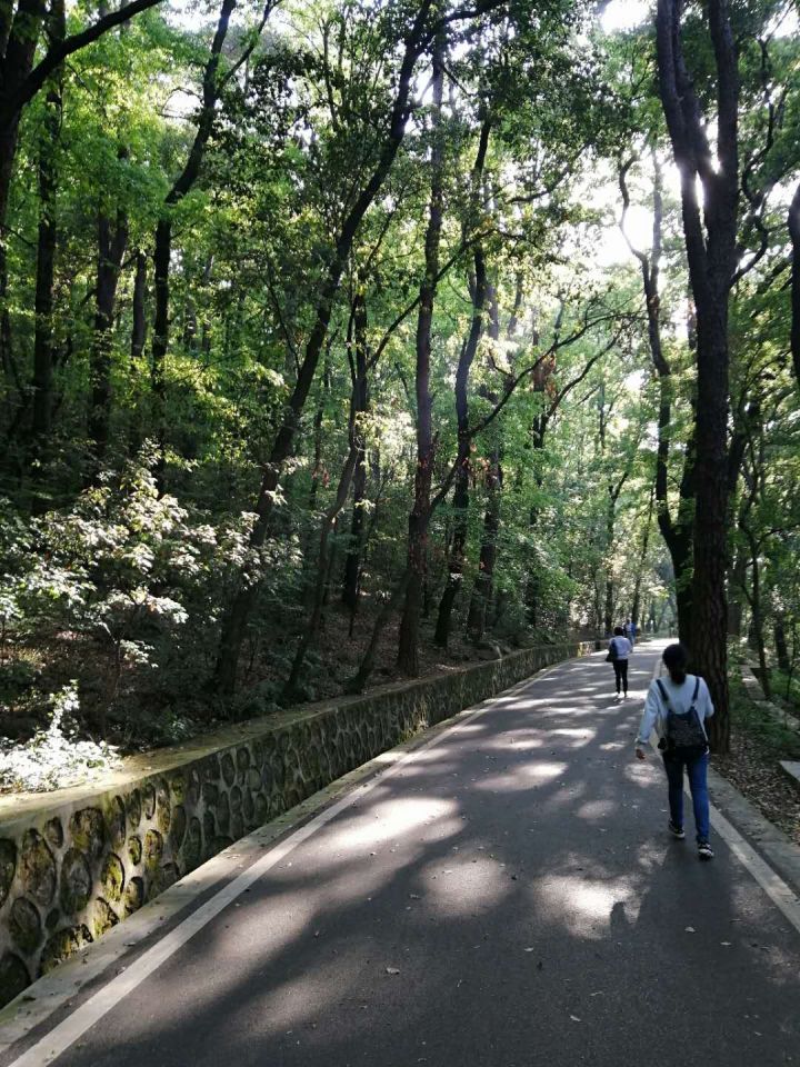 武汉旅游线路攻略图片,武汉攻略经典三日游