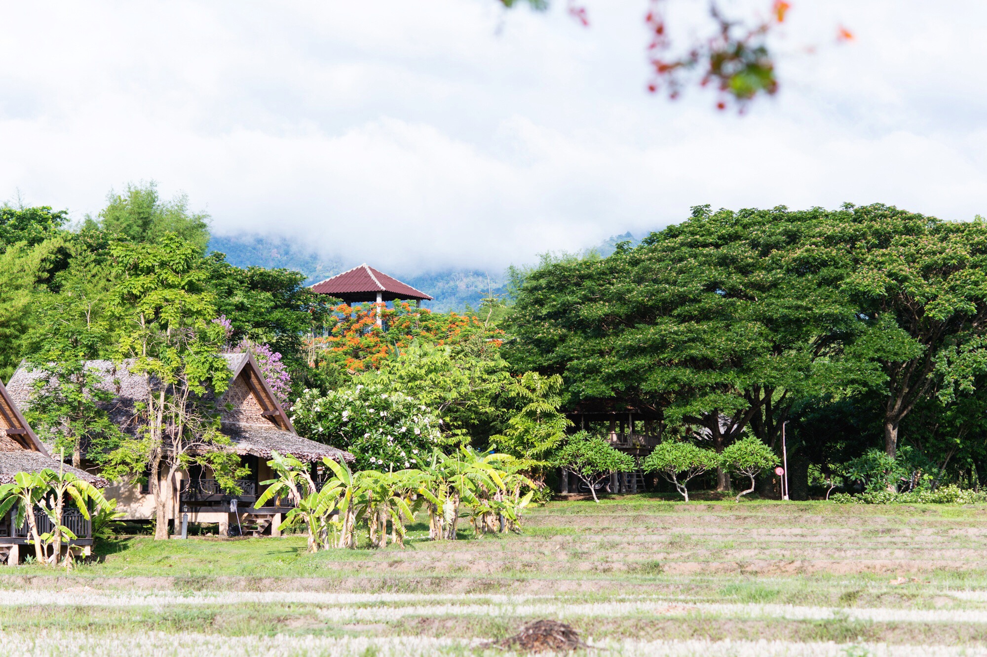 泰国拜县田园式酒店，你向往的诗和远方就藏在这里，一晚不到200