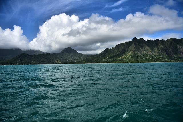 寻找侏罗纪世界中的火山岛，和“驯龙高手”一起拯救史前小短手！
