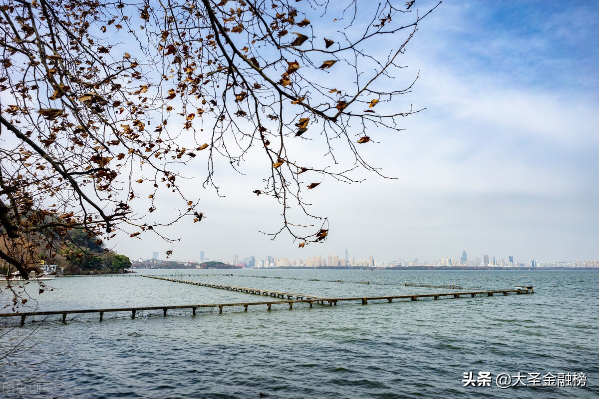 金融是经济的血脉是谁提出的,金融是经济的血脉