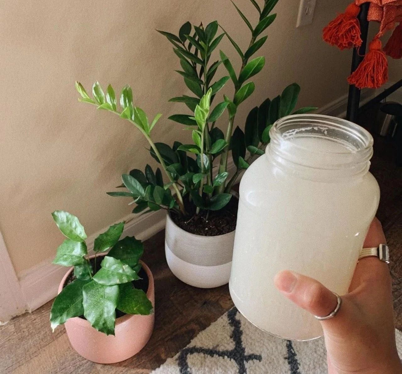 塑料养花小桶,塑料桶养花种菜