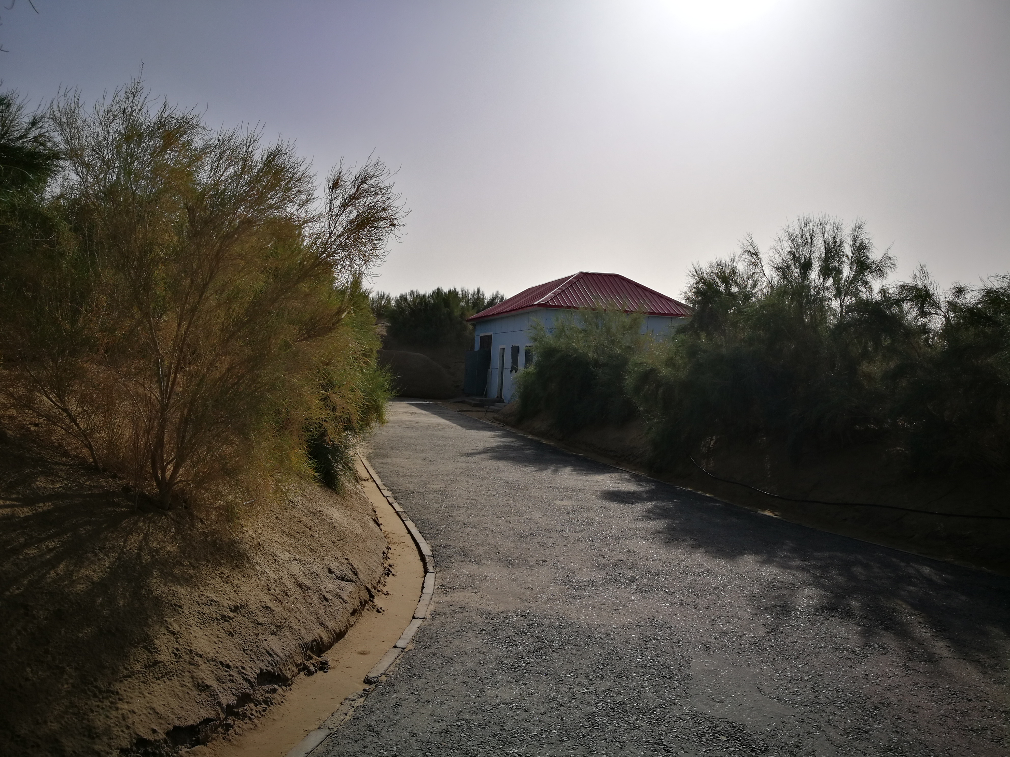 13000公里新手独驾*疆新**日记第23天——塔克拉玛干沙漠陷车自救