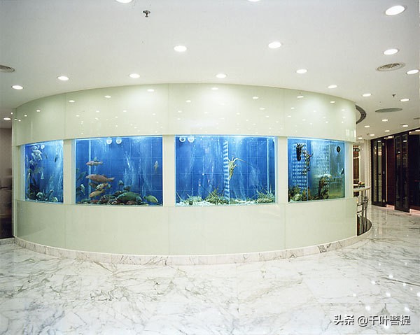 王子饭店董事长,王子饭店集团