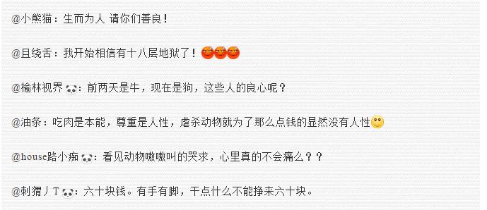 太残忍！掰开嘴插水管，给狗灌水只为多赚30元狗肉钱