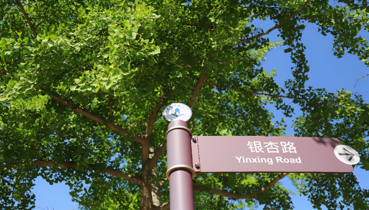 东北财经大学，一所实力不输211的老牌名校