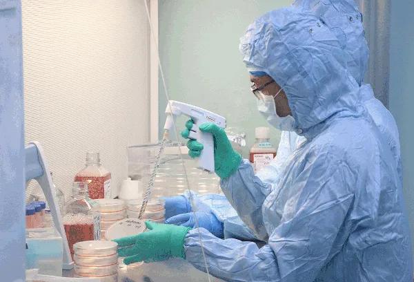 全球疫情中医药,全球疫情中国驰援