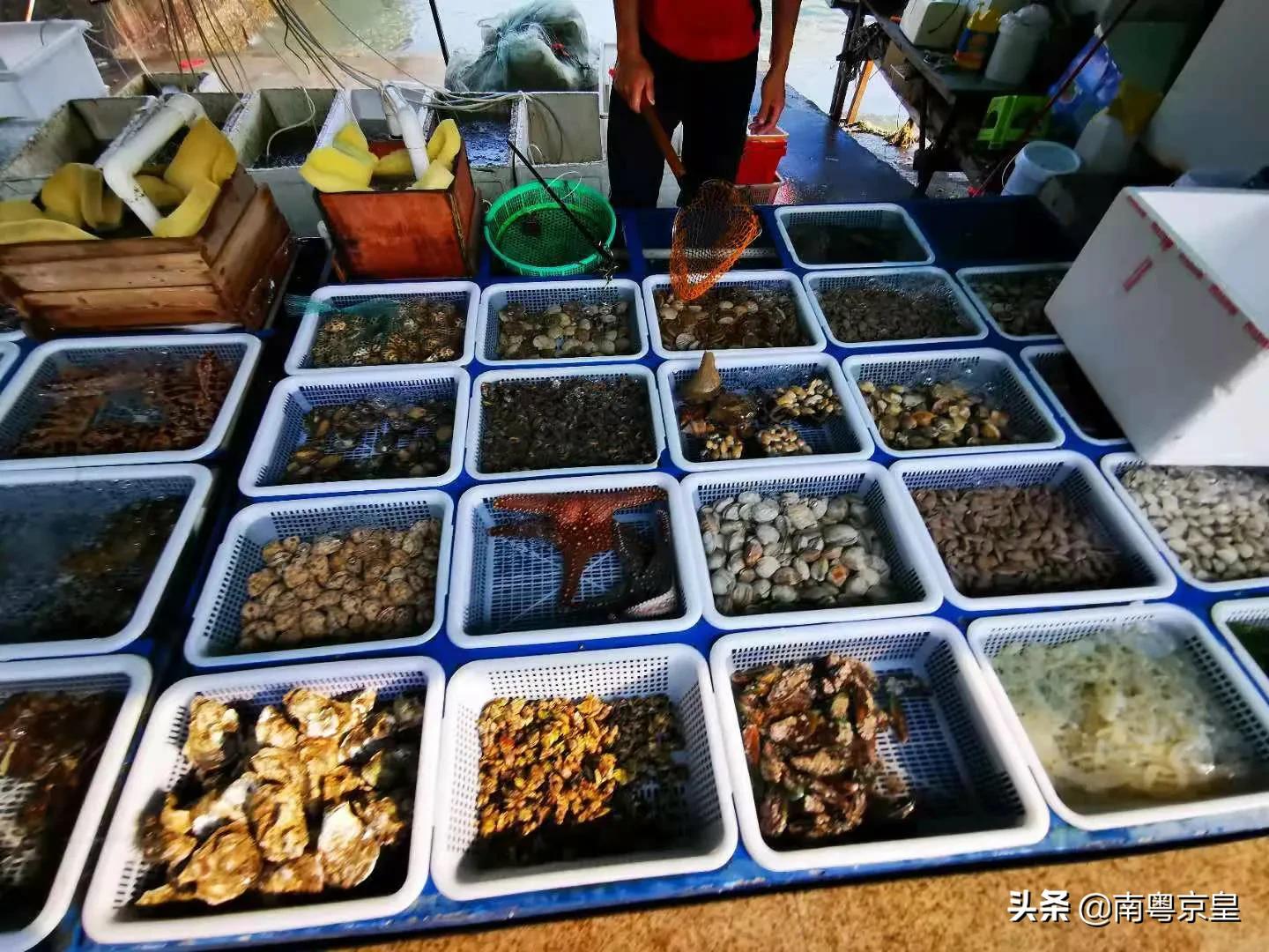 东澳岛海鲜旅游攻略,东澳岛最值得去的地方