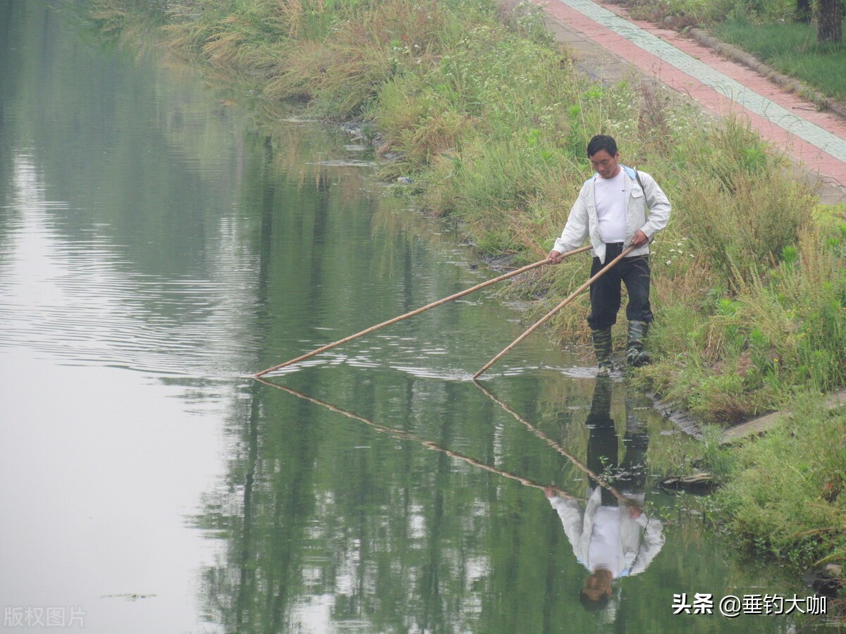 鸬鹚捕鱼被允许吗,鸬鹚捕鱼什么时候被禁止的