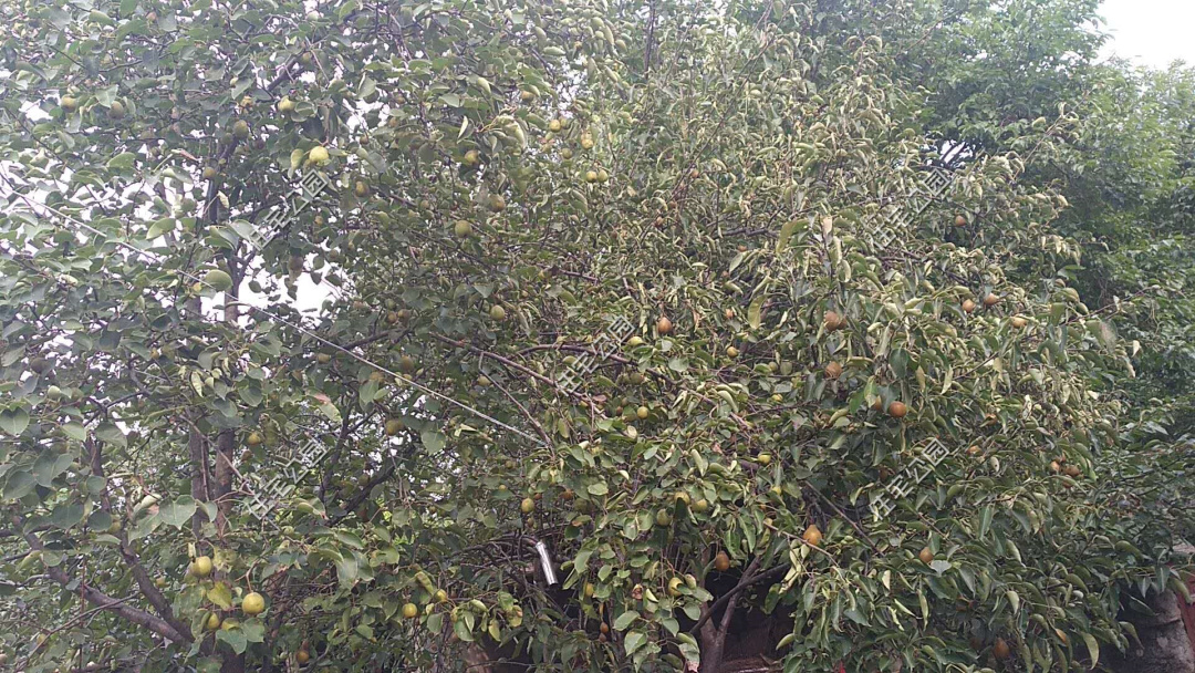 农村小伙打拼20年回乡建房,农村小伙打工10年花30万建的房子