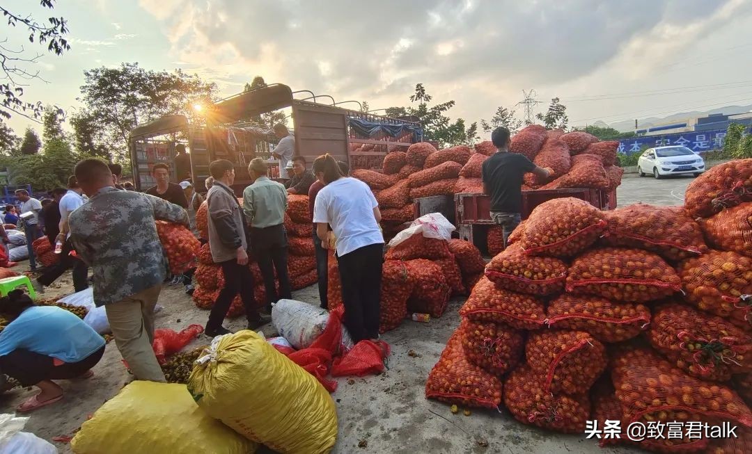 他毕业即失业，在困境中找商机，半年赚到800万