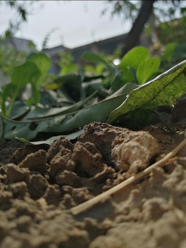 步步惊心的电视剧哪部好看,《步步惊心》短剧剧情介绍