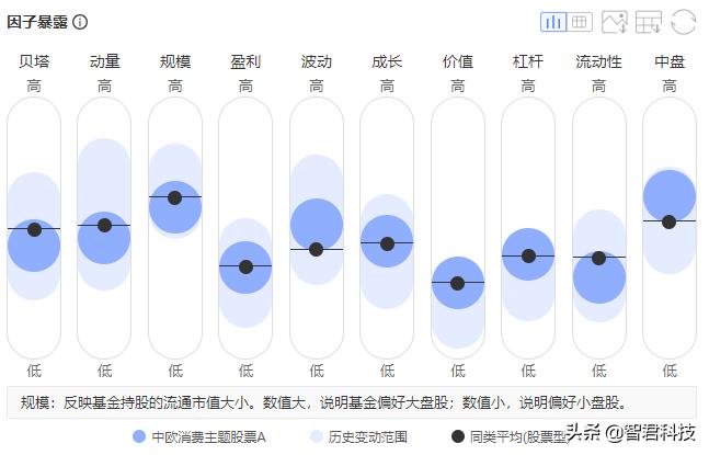 中欧消费主题股票a还会涨回去吗,中欧消费基金股票