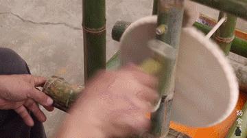 近日李子柒视频走红,李子柒爷爷最火视频