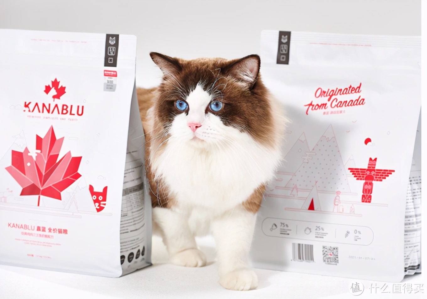 铲屎官亲民猫粮,铲屎官推荐的猫粮