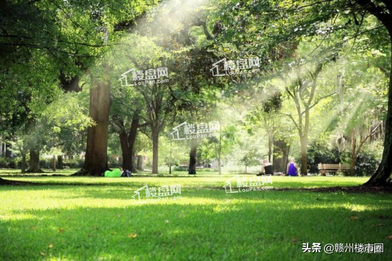 赣州君兰学府,赣州美的君兰学府