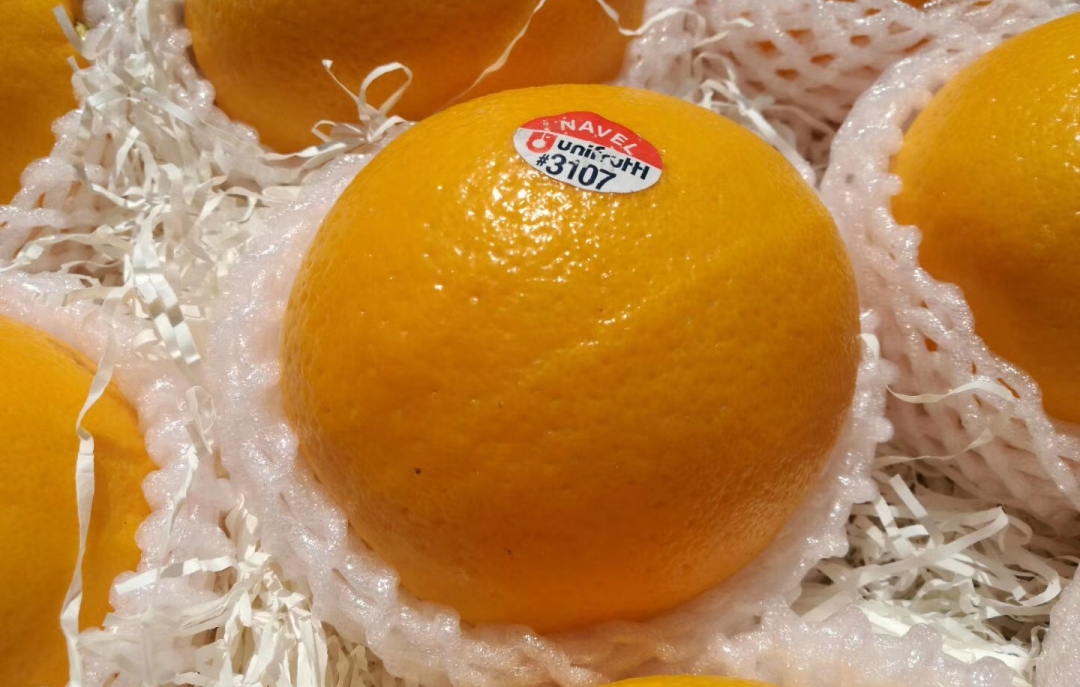 全球十大名橙排名,国内外名橙