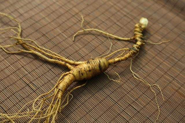 吉林长白山人参价格,长白山哪里的人参最好