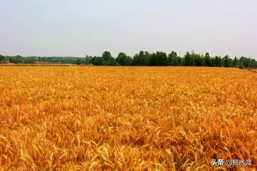 易县最美的游玩地方,易县好风光