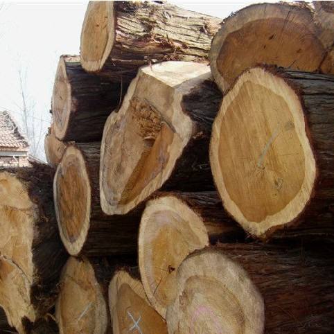 2100多年前古墓出土神秘文物,四大古墓的墓主都是谁