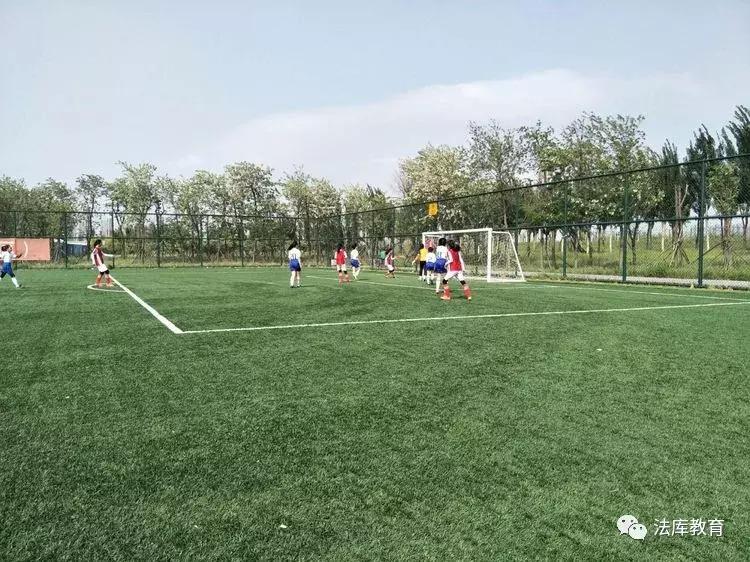 2019年沈阳市青少年校园足球比赛,2019辽宁省青少年足球锦标赛