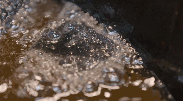 中国的豆腐是什么,中国的豆腐真好吃