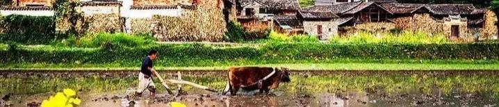 天下美景看青田,带你了解青田风情