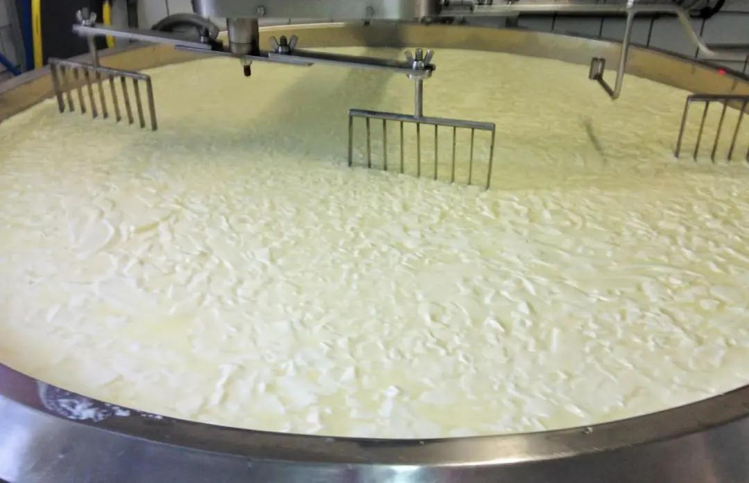 又酸又臭的坏了的奶酪,又臭又香的奶酪