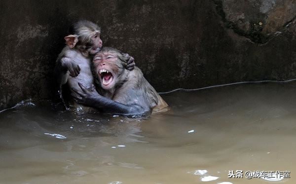 日本打仗摩托车,日本摩托车大战