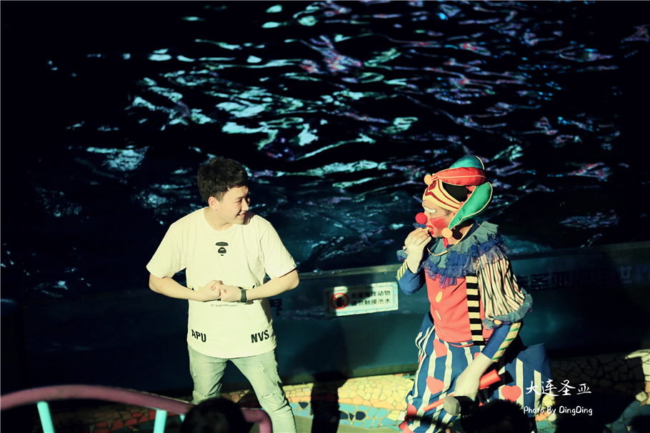 北方明珠活力四射的浪漫之都大连，国内最具特色的海洋世界圣亚