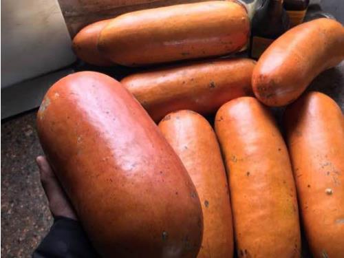 又一外来水果，听名字让人流口水，能当菜能当水果，少有人见过