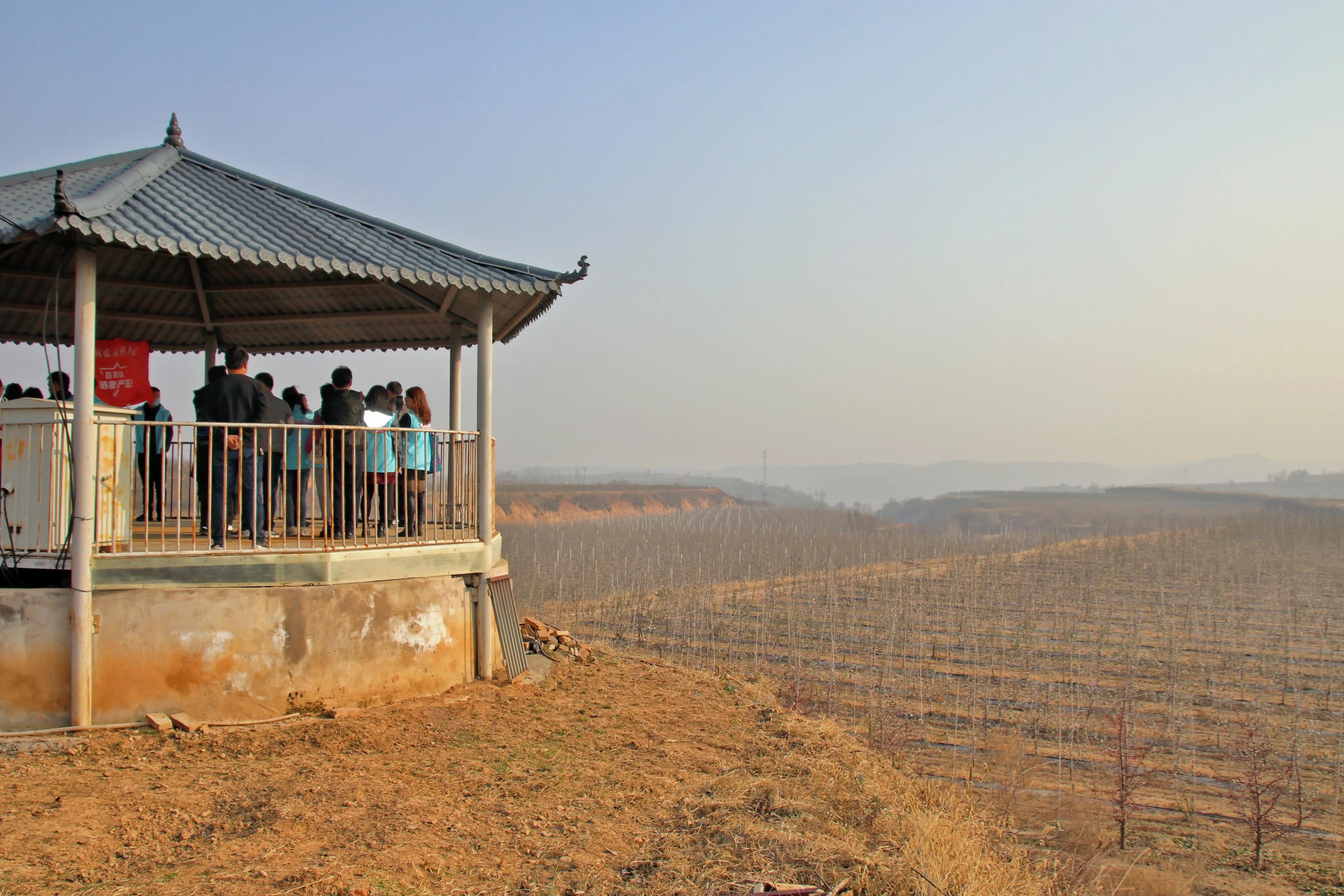 一品苹果·唯美印台,陕西果业产区行走进铜川印台区苹果优生区