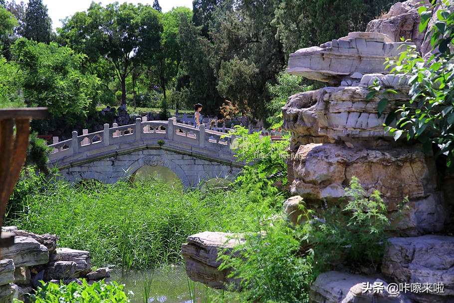 保定古莲花池是皇家园林,保定古莲花池始建于哪个朝