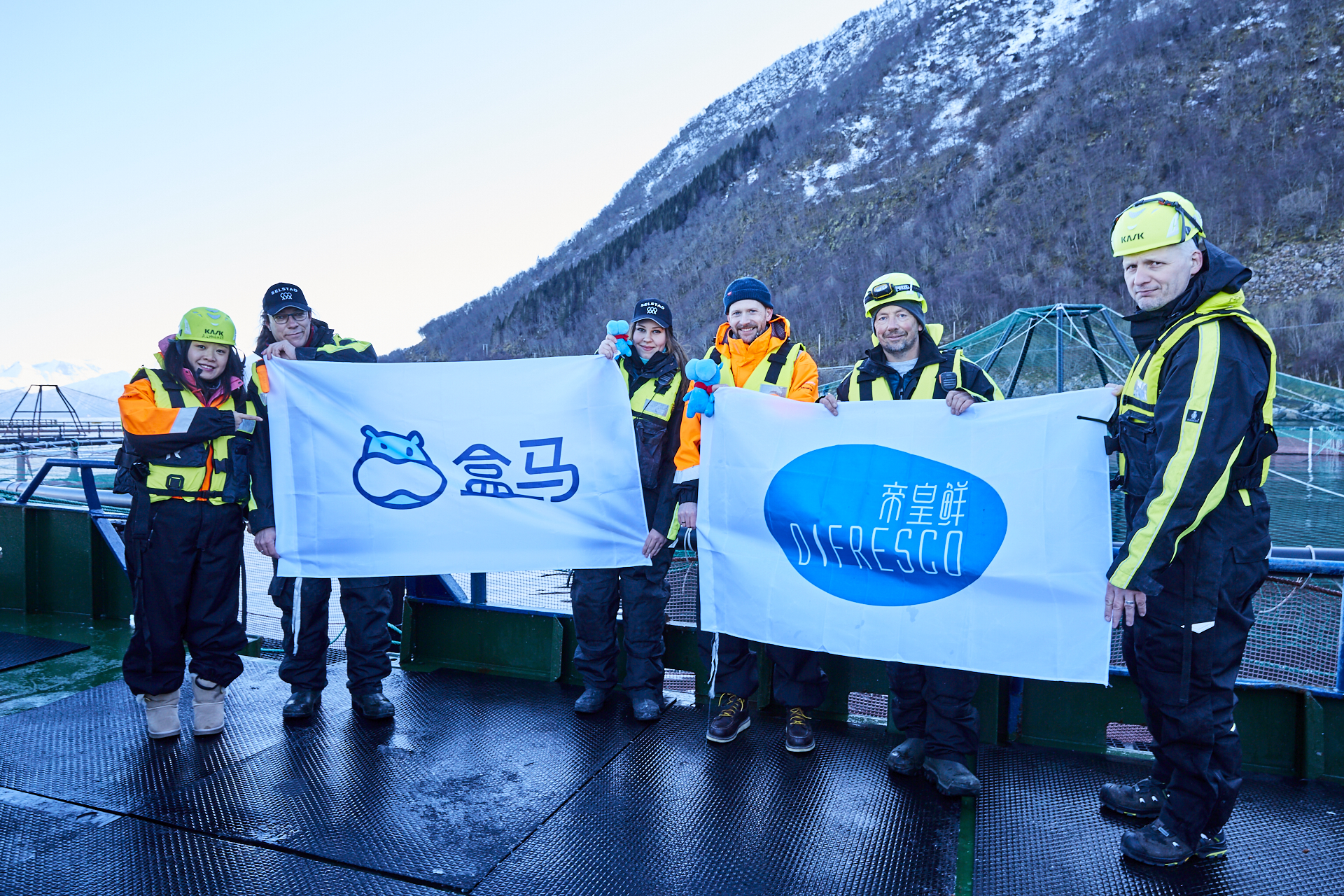 生鲜进口三文鱼,盒马鲜生挪威三文鱼